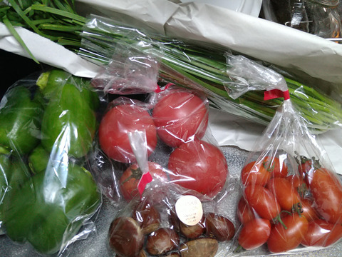 冷蔵便【農薬化学肥料不使用】むらざと自然農園　野菜セット(7品目+おまけ)岐阜県加茂郡白川町黒川　サイズ80の箱に旬のお野菜をお届けします！