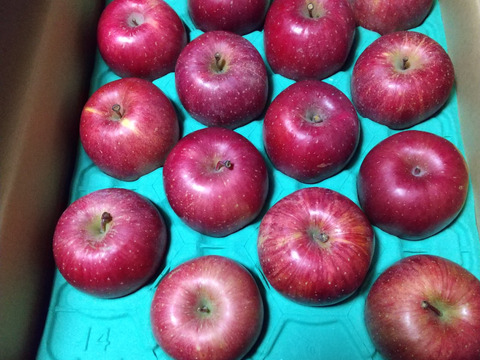 【販売中！人気商品】青森県産りんご「サンふじ」家庭用 キズ有 約10kg(5kg×2箱) 【美味・光センサー選果済】