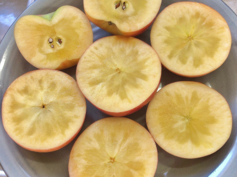 売り切れ御免！超蜜入りりんご 「こうとく」（2㎏）