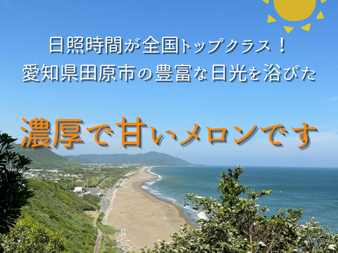 ルピアレッドメロン　4L2玉