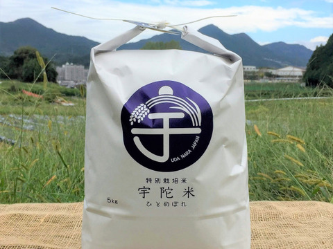 【新米！】美味しい米作りで地域の農業を守りたい！宇陀米☆特別栽培米ひとめぼれ５㎏
