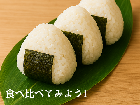 人気米食べ比べ！こしひかり2ｋg/新之助2ｋｇ　（計4ｋｇ）