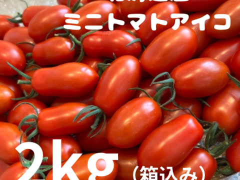 ミコちゃん アイコ6kg ミニトマト 農家直送 楽天市場】ミニトマト アイコの通販