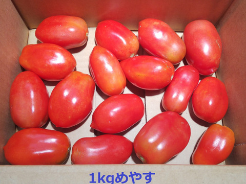 【有機JAS認証・固定種】トマト サンマルツァーノ 1kg 南アルプスの有機野菜 加熱向き
