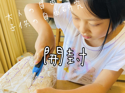 【大人の自由研究】【6月5日までの限定販売】『高知県産きくらげ栽培用の菌床ブロック×2個』簡単な育て方リーフレット付 ※商品到着後1週間以内に切込みを入れ栽培できる方