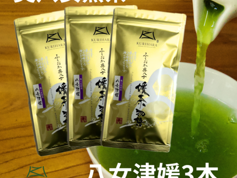八女茶産直 上品な旨みのお茶　奧八女煎茶　八女津媛　100g3本セット
