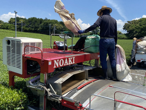 静岡県沼津の茶農家の茶葉を100%使用　するがの風（Ver.新茶） 100g