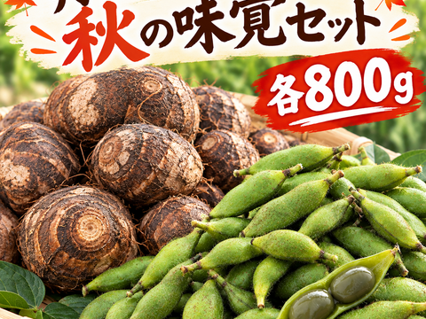 【丹波産本黒枝豆‼️＆ホクホク里芋セット‼️