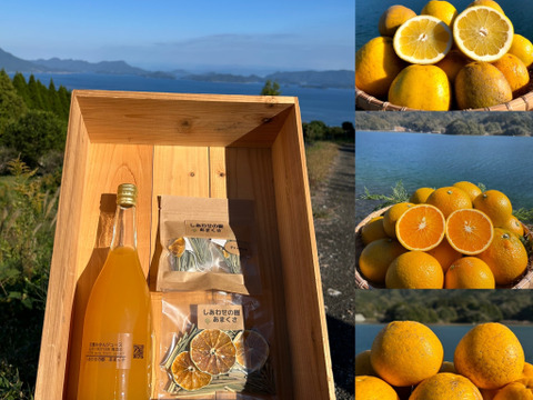 【福袋】6種詰め合わせセット（甘夏ジュース・レモングラスティー2袋・河内晩柑3個・スイートスプリング3個・紅河内晩柑3個）