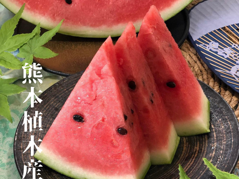 【黒小玉】熊本県植木産スイカ！黒小玉スイカ　２個入り（ボンボンリッチ）