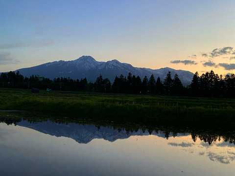 期間限定　訳あり夏の高原完熟トマト
4〜5キロ　20〜30個　B品　美味しさそのまま