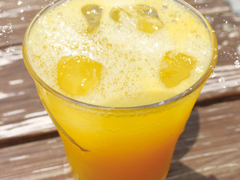 【訳あり】河内晩柑スパークリング340ml×6本