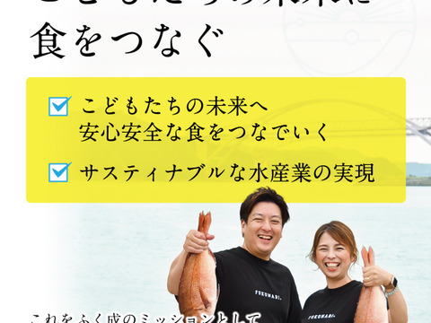 【テレビ東京のWBSで紹介】【新鮮なお刺身をまずはお試しで☆】天草産「真鯛のサク／3パック」《特殊冷凍》【当日発送 毎日便 対応】
