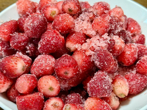 ❄️冷凍❄️八ヶ岳　完熟高級ありがいちご　「よつぼし」 5kg ヘタカット済 食べ始めたら止まらない！標高1000m 太陽とミネラル豊富な天然水