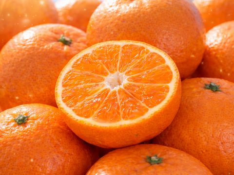 【ミシュラン御用達】正統血統が生んだロイヤルプリンセス『はれひめ』🍊甘みと香りが調和する完成柑橘大容量パッケージ約3kg