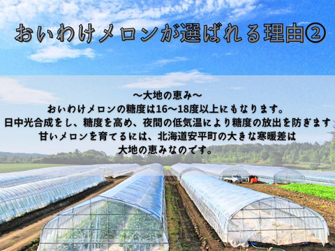 ギフトに大人気 【北海道メロン】 2玉入り　大玉