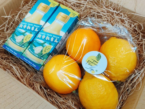 レモンチリソース『カキれもん』ギフト箱入り２本＋レモン４個セット