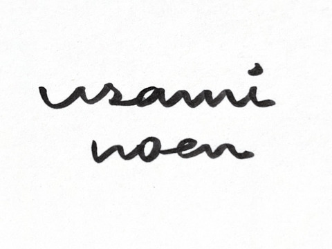 濃い旨味！北海道壮瞥町産中玉トマト　ラビットゴッホ約4.7kg