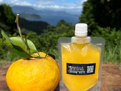 夏ギフト】冷凍甘夏みかんジュース6本セット（1本150ml）：熊本