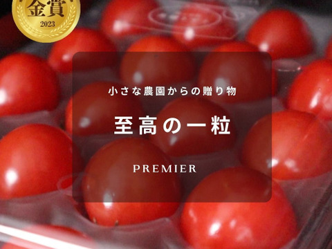【金賞受賞】希少品種「プチぷよ」1箱40粒セット