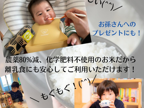 特別栽培米 炊飯食味値80点以上獲得した滋賀県産 きぬむすめ 無洗米10kg 皆さんに美味しいお米を届けるだけでなく 幸せも届けたい そんな思いからご祈祷しました 縁起の竜王米 滋賀県産の無洗米 食べチョク 産地直送 産直 お取り寄せ通販 農家 漁師から