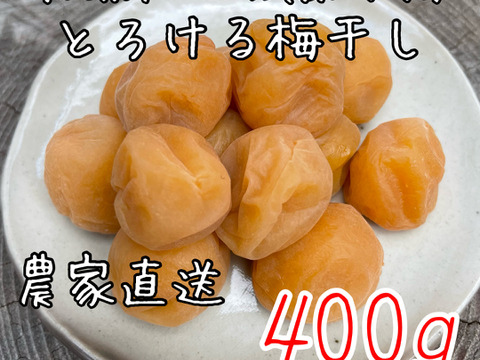 【無添加】お徳用‼︎ 群馬の梅　完熟織姫小梅　手作り梅干し　昔ながらの酸っぱい梅干し　400g