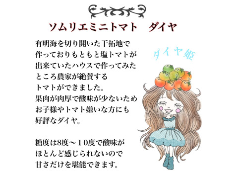 予約1月下旬から順次発送【特別栽培農産物の取得】＼極み／ソムリエトマト１.３kg （６玉から１０玉）ソムリエミニトマト　ダイヤ１kgのセット