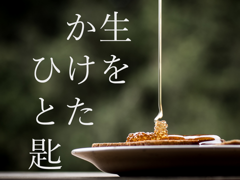 花々の香り豊かな国産生はちみつ★養蜂家直送★-百花＆オリジナルブレンド (370g x 2本)-