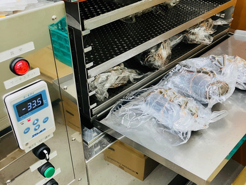 液体冷凍伊勢海老　訳あり品　650-700ｇ×2匹