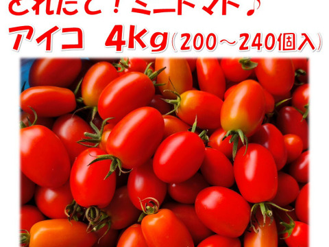 皮パリ食感！アイコ『岡山県産』４ｋｇ（概ね200～240個程度）