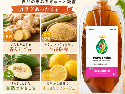 パパイア王子 宮崎パパイア酵素シロップ ジンジャー シロップ 250ml 希釈ドリンク 酵素 青パパイヤ スーパーフード パパイン酵素 日本産 ポリフェノール パパイヤ