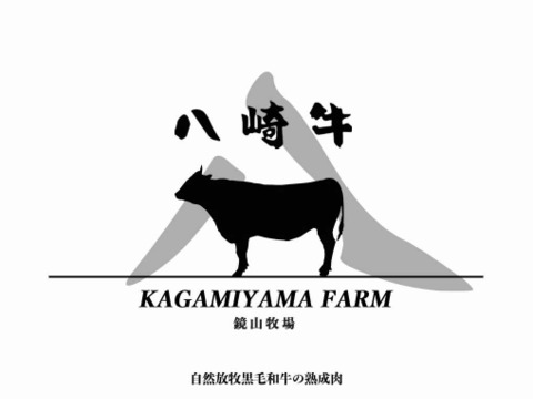 【再販‼︎8セット限定出品】八崎牛熟成リブロース薄切り200g×2