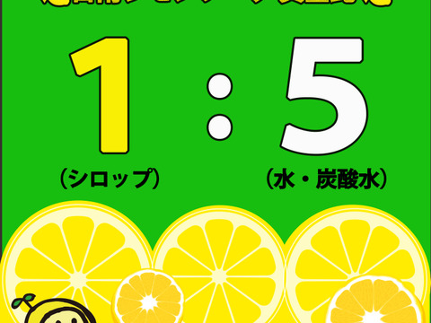 暑い夏におすすめ！日南レモンシロップ300ml×2本セット※ギフト対応可能