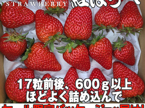 【増量しました】べにほっぺ30ｇ以上の大粒をたっぷり600g【通常便※遠方の方はクール便推奨】