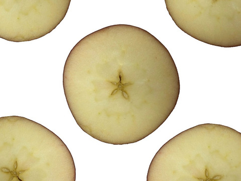 【加工用バラ詰め】紅玉＆秋映!! ハーフ スイーツ、お菓子、加工用・業務用🍎約4.5Kg青森県産