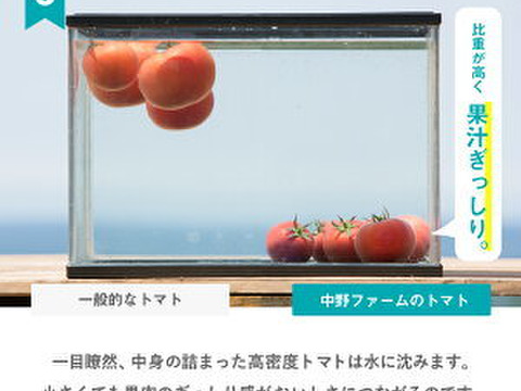【ギフト対応可能】高級トマトジュース 180ml×10本 美容・健康を気遣う方へ