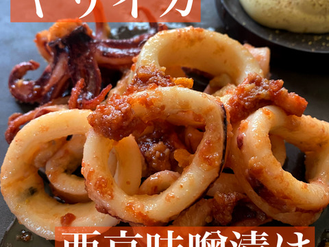 イカ４種☆豪華食べ比べセット