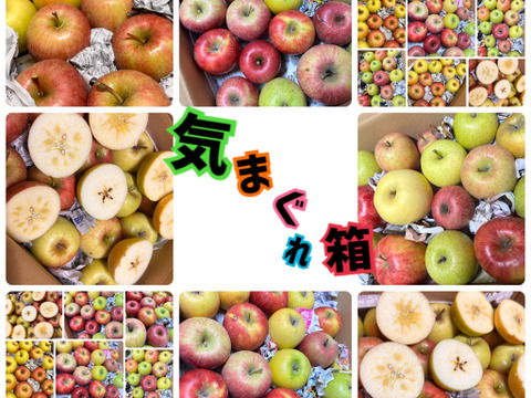 「そのまんまりんご箱」×『気まぐれ箱』同梱！