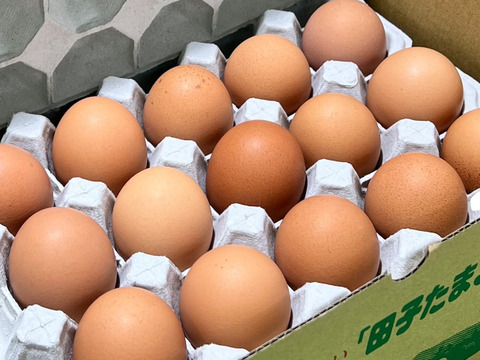 にんにく卵　30個入