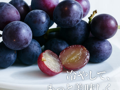 濃厚な甘さ！朝どれ直送＜種なし巨峰 約700g＞たべきりサイズ（350g×2房）
