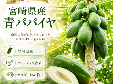 【お得】 パパイア王子 宮崎 青パパイヤ グリーンカレー 酵素 レトルト カレー スーパーフード 国産 ポリフェノール 野菜