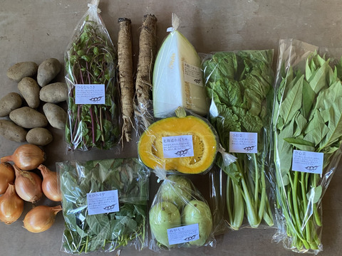 野菜セットＭサイズ（9〜10品）【農薬・化学肥料・動物性堆肥｜不使用】