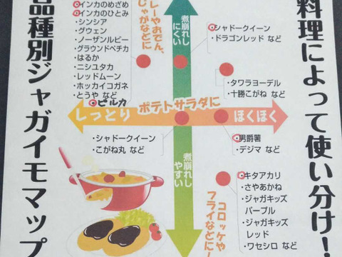 【販売期間終了間近〜2/28】北海道　じゃがいも　新じゃが　8種類　ジャガイモ　インカ　シャドークイン　ピルカ　4kg　【食べ比べ】