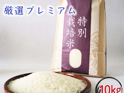 予約受付中 令和8年産】岩手県産 銀河のしずく 厳選プレミアム 10Kg