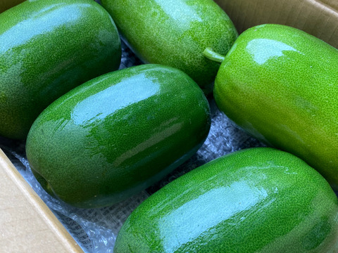 保存可能‼️姫冬瓜❗️80サイズでお届け