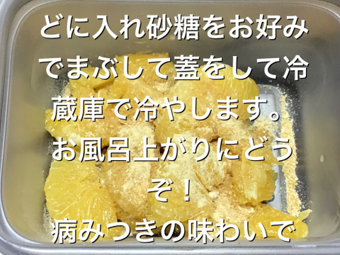 【農薬不使用】ねこ農園の甘夏1kg&無選別レモン2kgセット【ノーワックス】
