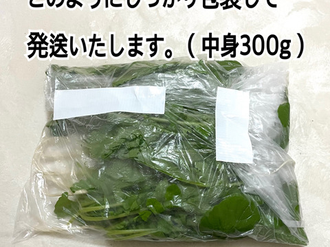 栄養満点の細根大根を300g