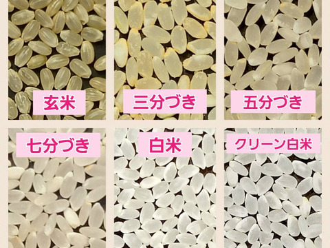 中道農園：ミルキークイーン 優 白米 2.5kg ｜ 無農薬JAS認証の