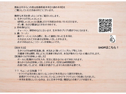 ＜乾燥40g＞栄養たっぷり！食感たのしい【国産】きくらげ