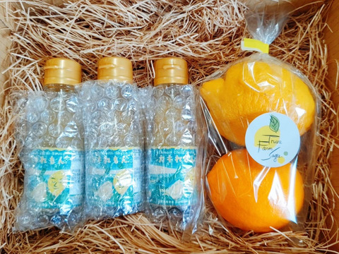 レモンチリソース『カキれもん』ご自宅用３本＋レモン２個セット